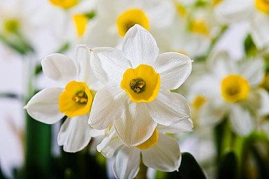 《Vindictus: Defying Fate》Steam上线 NEXON新动作RPG